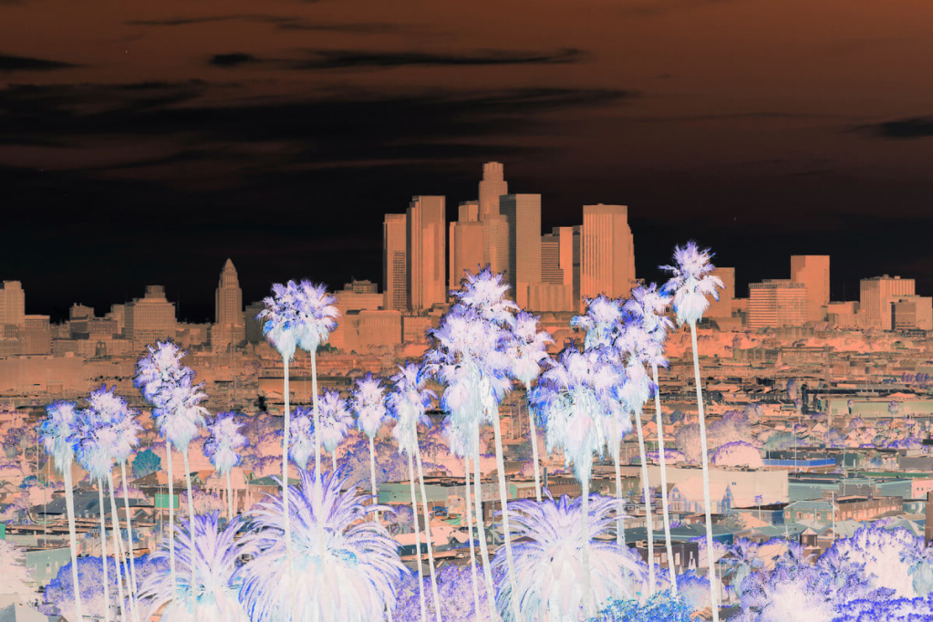 Slices of Life from&nbsp;LA